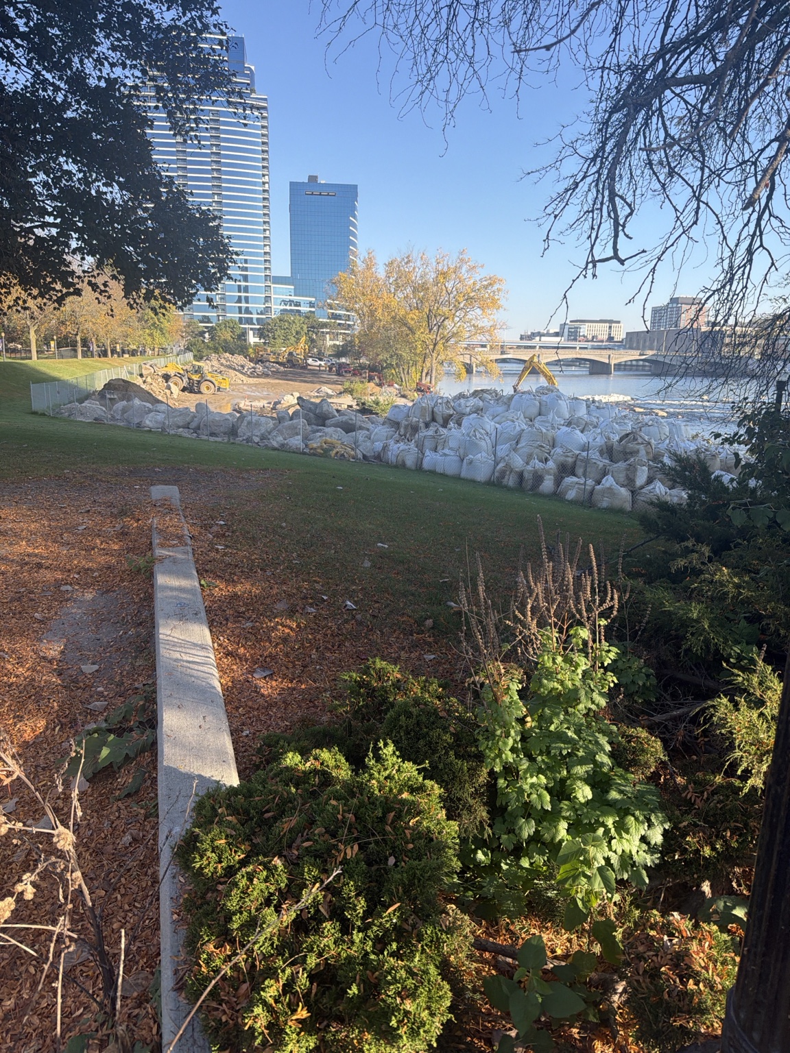 Autumn trees frame a river and buildings on the opposite bank.
