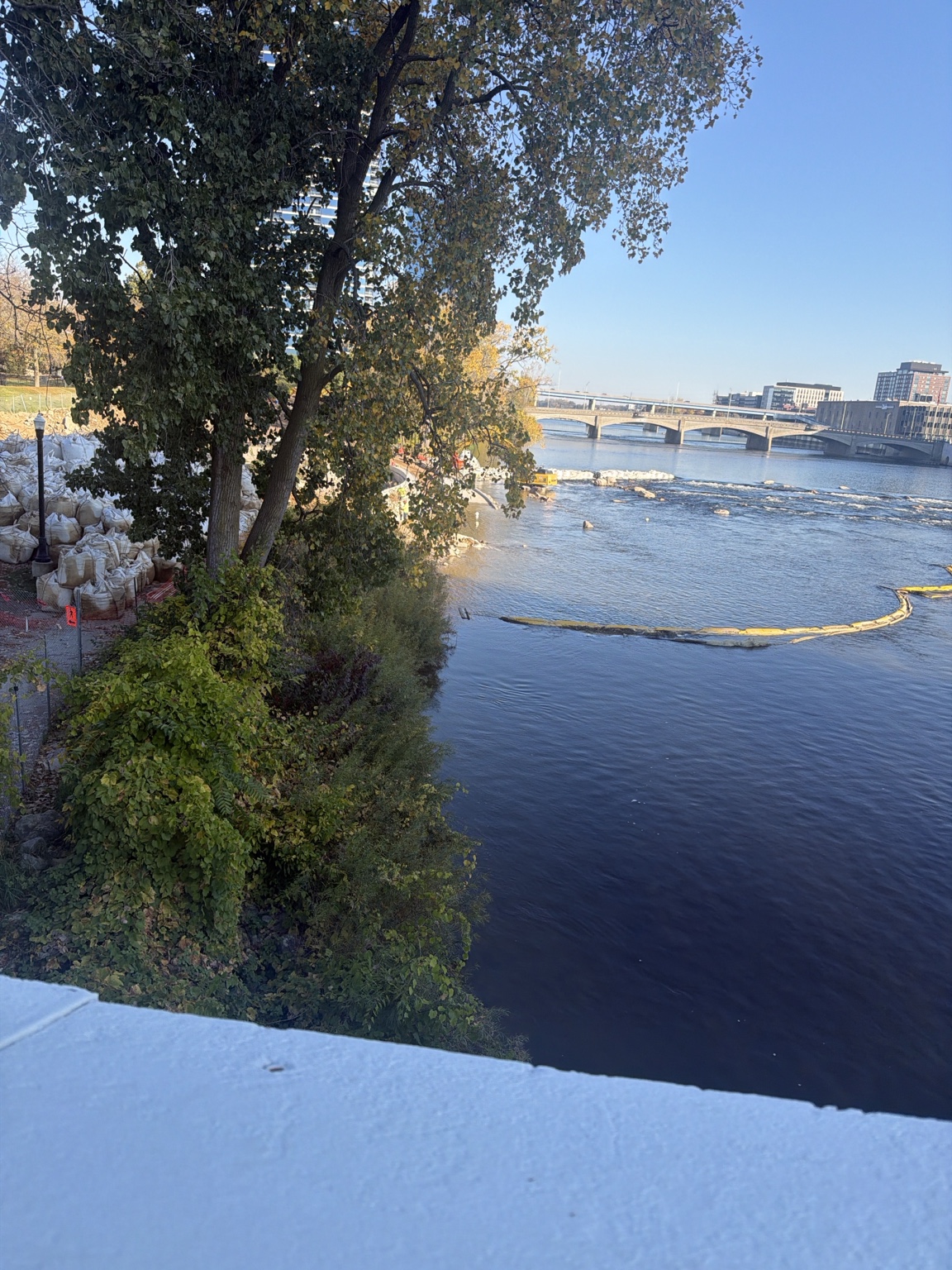 A tree-lined riverbank and bridge under a blue sky.