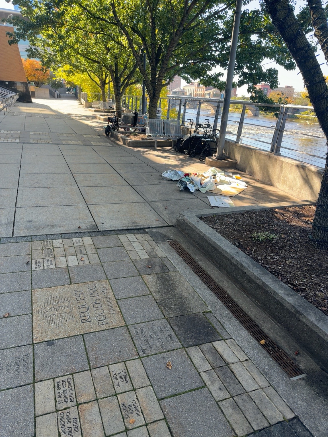 Autumn trees and benches along the riverwalk